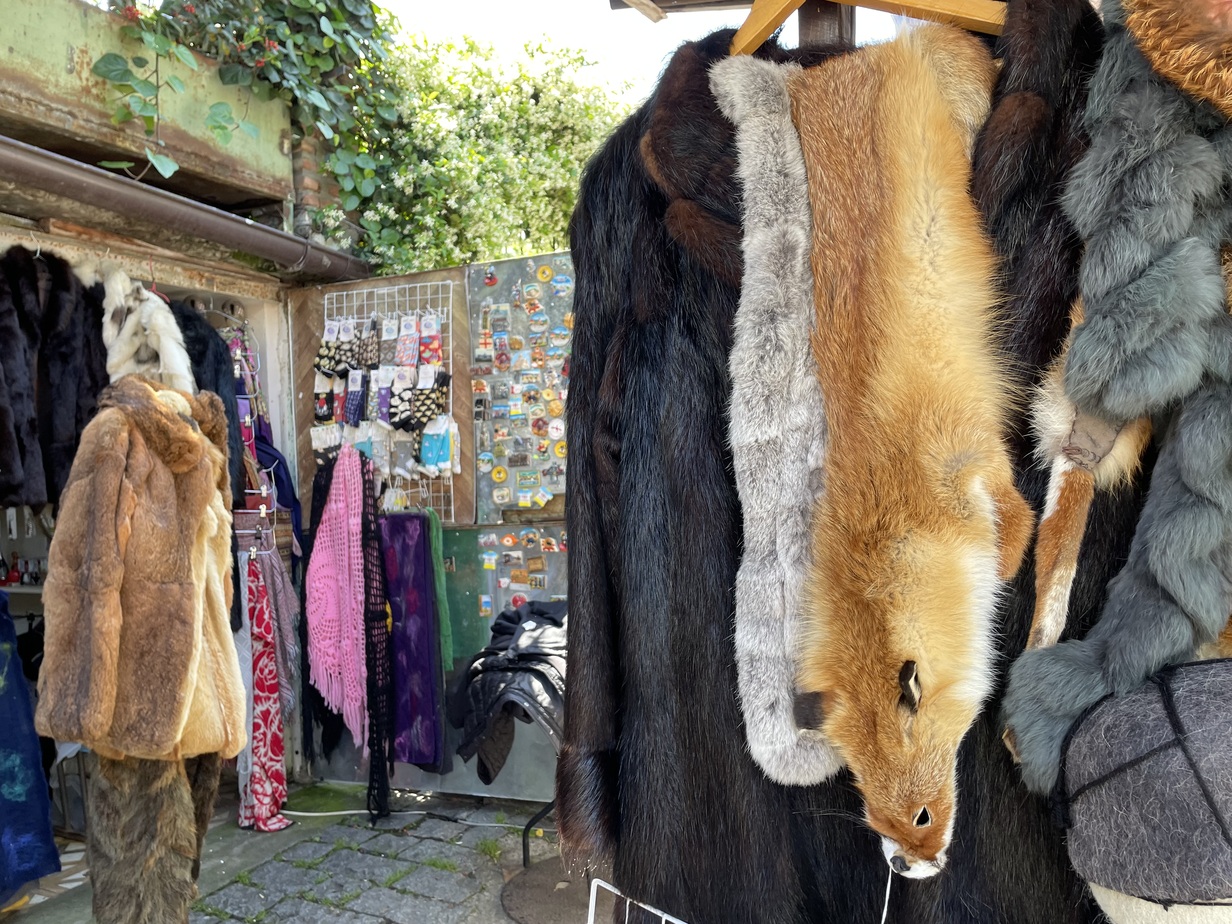 Fox hide