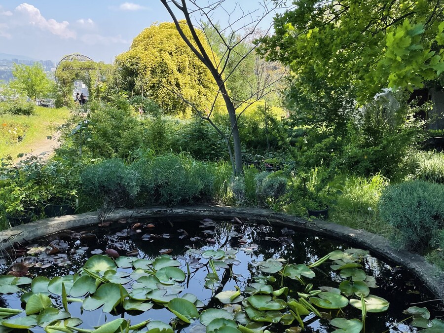 Tbilisi Botanical Garden